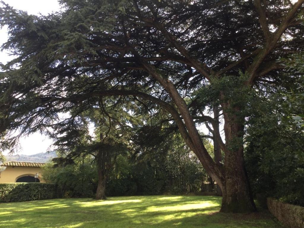 Villa Il Padule Bagno a Ripoli Dış mekan fotoğraf