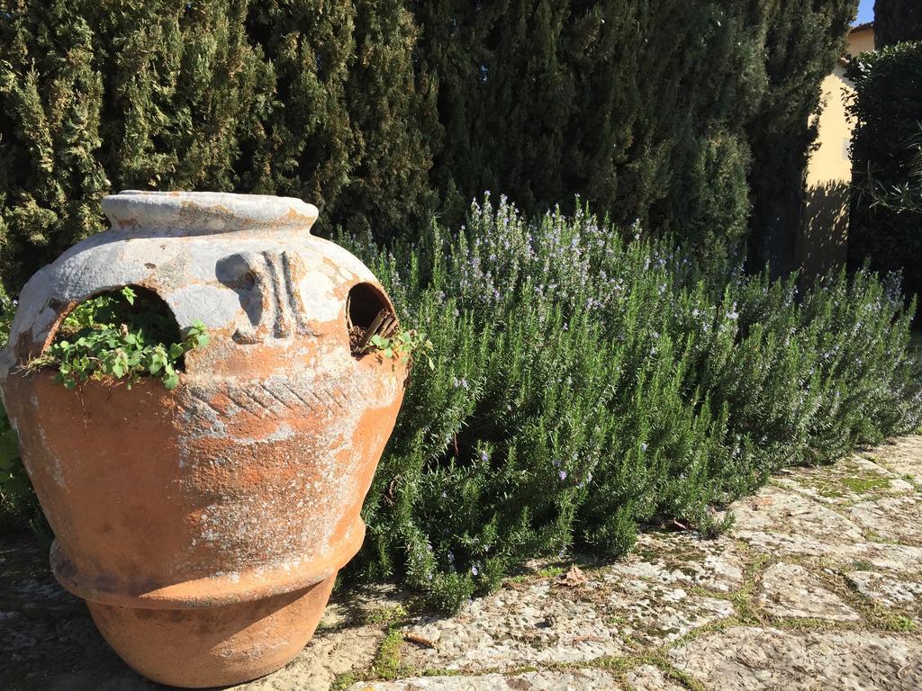 Villa Il Padule Bagno a Ripoli Dış mekan fotoğraf